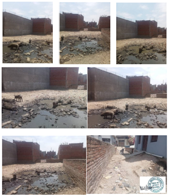 Sale Notice of Afreen Parvez 100720241